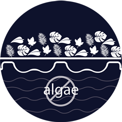 debris-and-algae-prevention-icon-anergyguard